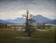 Caspar David Friedrich Landscape with Solitary Tree painting